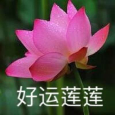 湖南望城：明前茶飘香 茶农采制忙